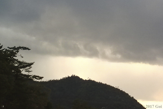 フラクタス雲 (fluctus) : Fluctus (fluctus)