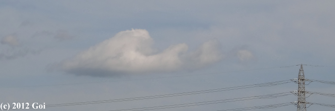 フラクタス雲 (fluctus) : Fluctus (fluctus)