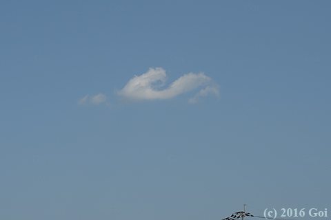 フラクタス雲 (fluctus) : Fluctus (fluctus)
