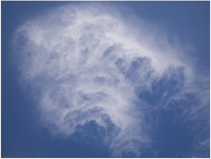 くらげ雲 : 