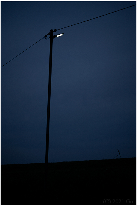 街灯 : A Lamp Post