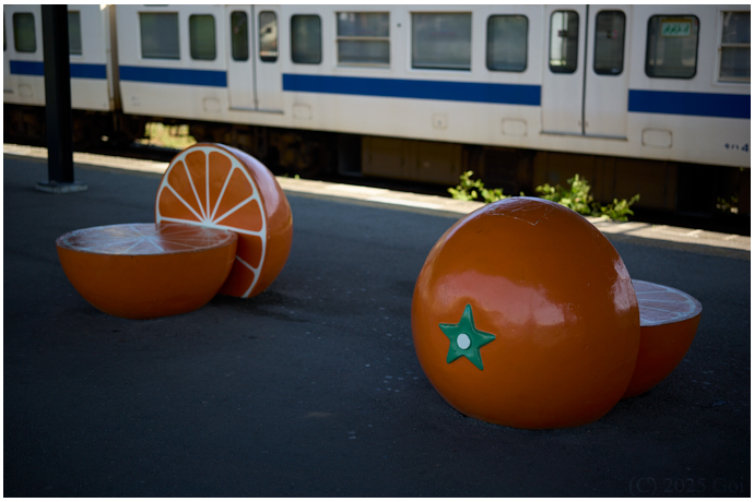 ベンチ : Benches