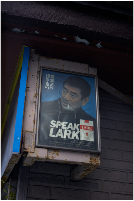 ポスター : A Poster
