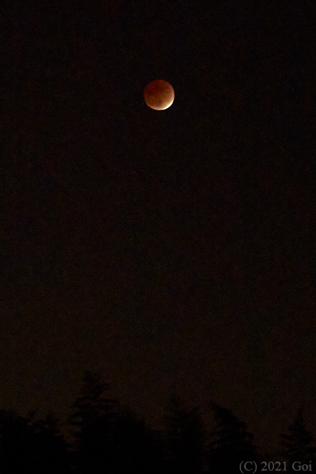 月蝕 : A Moon Eclipse